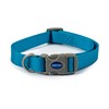 Ancol Viva Quick Fit Adjustable Collar, Blue, Size 2-5 for
