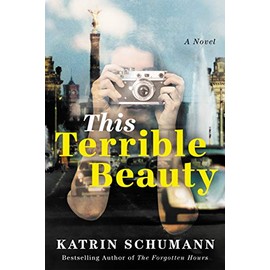 This Terrible Beauty: A Novel