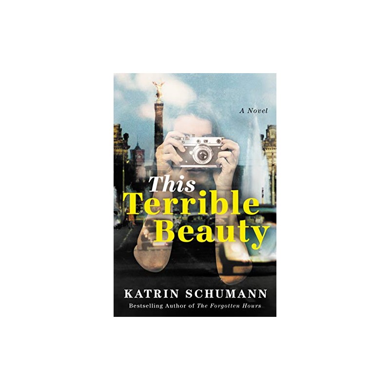 This Terrible Beauty: A Novel