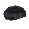AISIHAIR Hair Piece Wig, Men's Wig, Men's Hair Extension, Black,