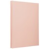 Nakabayashi Free Album Sweet Colors 100 Year Mount A4 Red