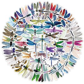 No Stickers for Laptop (Pack of 100), Gift for Children, Teenagers, Adults, Boys, Dragonfly Stickers, Waterproof Vinyl Stickers for Scrapbooking, Skateboard, Car, Luggage