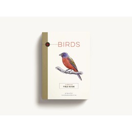 Birds: An Illustrated Field Guide (Illustrated Field Guides)