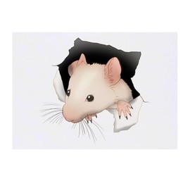 'Mouse Through Hole' Temporary Tattoo - Water Resistant, Skin-Safe, Non-Toxic Transfer (TO00085035)