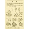 Clover Snaps 0.5 inches (12 mm), 6 Pairs, Silver 26-545