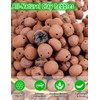 TOYPOPOR Leca Clay Pebbles for Plants, (6 Quarts) Leca Balls,