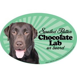 Prismatix Decal Lab Retriever (Choc) Car Magnets: Spoiled Rotten Lab Retriever (Choc) - Oval 6" x 4" Auto/Truck/ Refrigerator/Mailbox (Funny Car Decals, Dog Magnet, Lab Retriever (Choc)