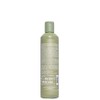 Echos Line No Yellow Shampoo 300ml