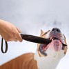 Marsrut Professional Dog No Bite Sticks Safely Separates Food Aggressions