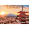 1000 Piece Jigsaw Puzzle, Mt. Fuji and Cherry Blossoms in