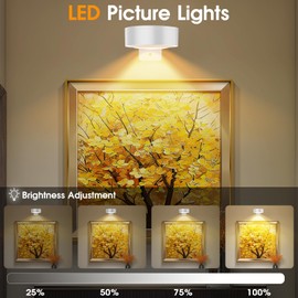 SIXDEFLY 13 RGB Color Changing Led Art Display Light for Picture Frame,Rechargeable Battery Operated Led Painting Light with Remote Control Dimmable & Timer,3Pack White