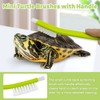 PINVNBY 6 Pack Turtle Brush Turtle Scratches Back Brush with