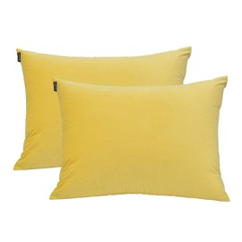 NianEr Fall Winter Velvet Pillowcases Set of 2 Pillow Cases with Zipper Closure Yellow, Standard