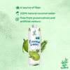 Bamboo Tree Acqua di Cocco 1 X 330 ML