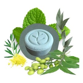Shampoo Solido Orgánico Vegano, No Parabenos Siliconas O Lss
