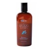 Labonté Shampoo Regenerador Argan Keratin Labonté 250ml