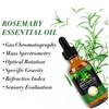 60ML Pure Rosemary Essential Oil for Hair Growth