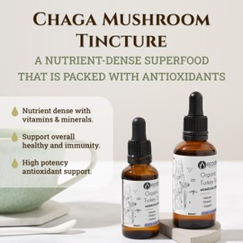 ecodrop essential oils Ecodrop Organic Turkey Tail Mushroom I 50ml I Double Extract Liquid Tincture Turkey Tail Supplement I Heavy Metal-Free, Nordic Sourced, & Fully Traceable I Manufactured in Finland