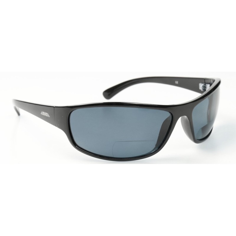 Jenzi Polaris PB 107 Glasses with Case