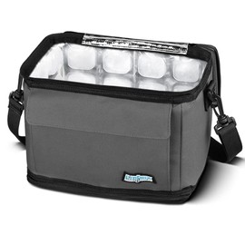 FlexiFreeze Refreezable Can Cooler Lunch Box, Collapsible with Built-in Ice (9 Can Charcoal)