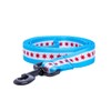 Native Pup Chicago Flag Dog Leash (Chicago)