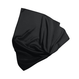 BERGEON 7850-2 Microfibre Cleaning Cloth, 250 x 250 mm, Washable, Ideal for Cleaning and Polishing Glasses, Watches, Bracelets (Black), black