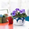 LITUDISO African Violet Pots, 6 Inch Self Watering Pots for