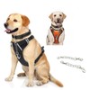NXPpiULeh Dog Collar Safety Clip, 2 Pack Metal Clasp Double