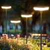 Ainostone Solar Lights Outdoor Pathway 8 Pack IP65 Waterproof 31"