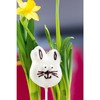 Staedter 080058 Rabbit Face Cookie Cutter, 6 cm, Stainless Steel,