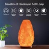Himalayan Glow Salt Lamp with Touch Dimmer Switch 5-7 lbs