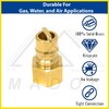 Female NPT Quick Connect Hose Connector Plug, Quick Release Valve