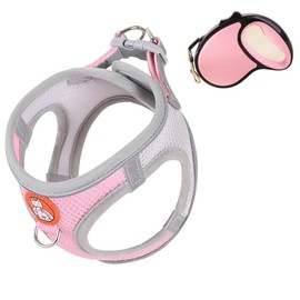 Shyllin Cat Harness with Lead, Escape Proof, Cat Lead with Harness for Cats, 5 m, Cat Harness Set with Lead, Cat Harness Chest Harness, Adjustable Soft Harness for Cats