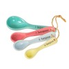 Sass & Belle Pastel Measuring Spoons