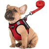 FAYOGOO Service Dog Vest for Small Breed - Lightweight Dog