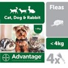 Advantage Spot On Flea Treatment 40 Small Cats Dogs and