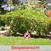 Sign with German Text "Hier bitte nicht!" [German Language] 180