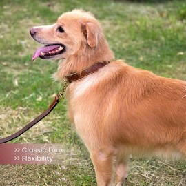 PAWSOFT Airtag Luxury Real Leather | Dog Collar Rolled Dog Collar for Small Medium Large Dogs | Leather Dog Collar Dog, Airtag Dog Collar (Size - S) Fits Neck 12, 13 & 14 inches