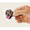 4Pcs German Shorthaired Pointer Dog Sticker - 3D Effect -