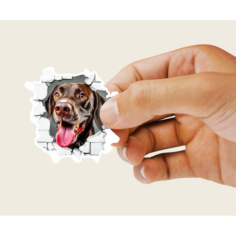 4Pcs German Shorthaired Pointer Dog Sticker - 3D Effect -