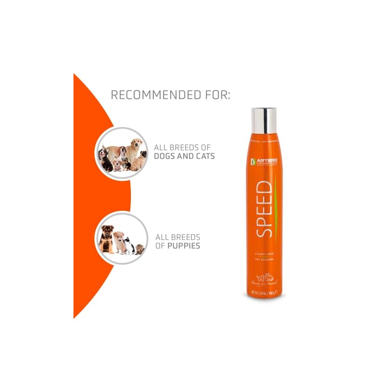 Shampoo de Secado Rápido ARTERO 168g