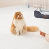 PetNoriter 셀프시공 논슬립 펫롤매트 120 묘하개끌리지 (5.5T) Self-Install Non-Slip Pet
