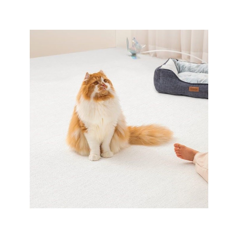 PetNoriter 셀프시공 논슬립 펫롤매트 120 묘하개끌리지 (5.5T) Self-Install Non-Slip Pet