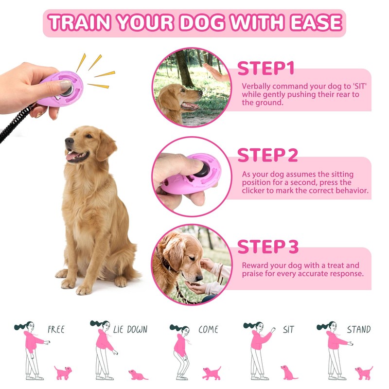 Dog Harness with Leash Set, Breathable Adjustable Dog & Cat