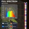 Grow Lights for Indoor Plants with Timer, 2PCS 60 Inch