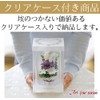 Art Four Seasons ● Offering Flowers 2 Colors Preserved Flowers