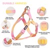 AIITLE No Pull Small Dog Harness and Leash Set-Escape Proof/Quick