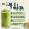 Jade Leaf Matcha Culinary (100 g)