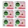 Dettol Soap Skin Care 100g x 6 / 데톨 비누