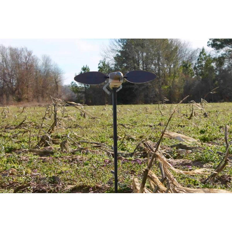 MOJO Outdoors Elite Series Dove Decoy – Ultra Realistic Motion